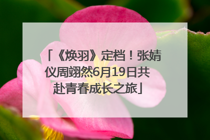 《焕羽》定档！张婧仪周翊然6月19日共赴青春成长之旅