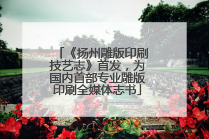 《扬州雕版印刷技艺志》首发，为国内首部专业雕版印刷全媒体志书