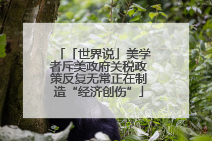 「世界说」美学者斥美政府关税政策反复无常正在制造“经济创伤”