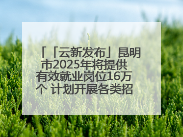 「云新发布」昆明市2025年将提供有效就业岗位16万个 计划开展各类招聘会200余场次