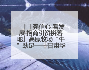 「强信心 看发展·招商引资拼落地」高原牧场“牛”劲足——甘肃华予高原牧场高标准奶牛肉牛养殖项目一线见闻