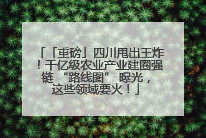 「重磅」四川甩出王炸！千亿级农业产业建圈强链 “路线图” 曝光，这些领域要火！