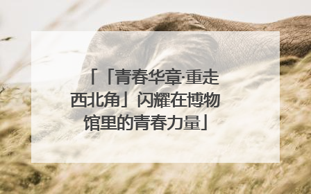 「青春华章·重走西北角」闪耀在博物馆里的青春力量