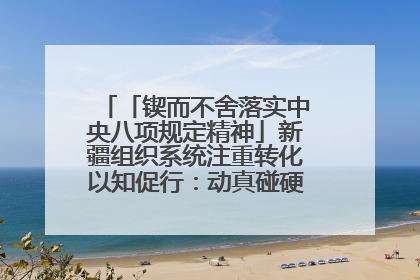 「锲而不舍落实中央八项规定精神」新疆组织系统注重转化以知促行：动真碰硬抓好整改整治