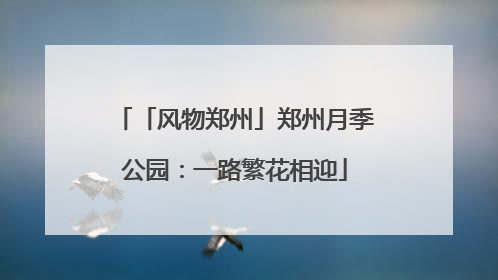 「风物郑州」郑州月季公园：一路繁花相迎