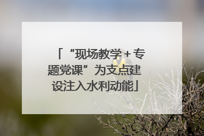 “现场教学＋专题党课”为支点建设注入水利动能