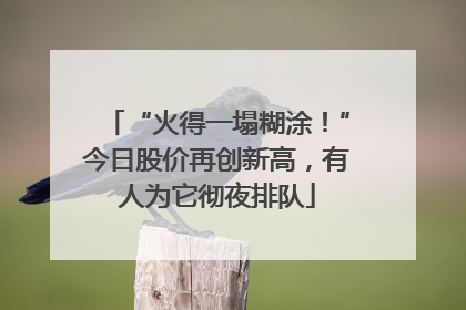 “火得一塌糊涂！”今日股价再创新高，有人为它彻夜排队