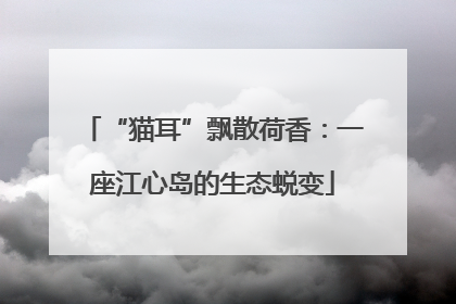 “猫耳”飘散荷香：一座江心岛的生态蜕变