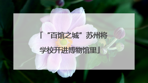 “百馆之城”苏州将学校开进博物馆里