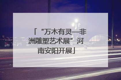 “万木有灵—非洲雕塑艺术展”河南安阳开展