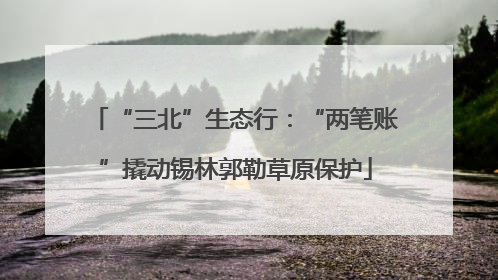 “三北”生态行：“两笔账”撬动锡林郭勒草原保护