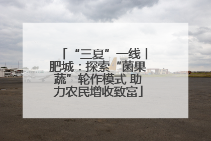 “三夏”一线丨肥城：探索“菌果蔬”轮作模式 助力农民增收致富