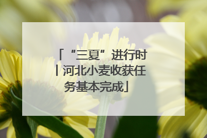 “三夏”进行时丨河北小麦收获任务基本完成
