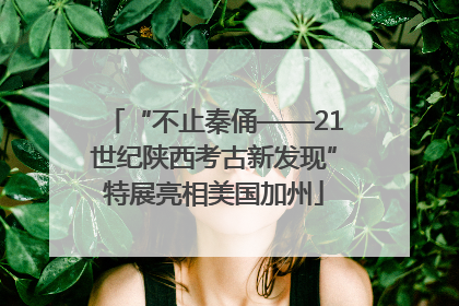 “不止秦俑——21世纪陕西考古新发现”特展亮相美国加州