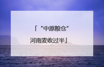 “中原粮仓”河南麦收过半