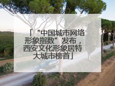 “中国城市网络形象指数”发布，西安文化形象居特大城市榜首