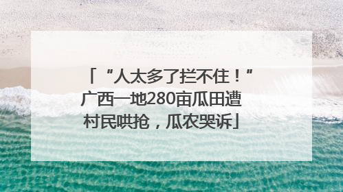 “人太多了拦不住！”广西一地280亩瓜田遭村民哄抢，瓜农哭诉