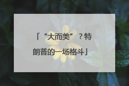 “大而美”？特朗普的一场格斗