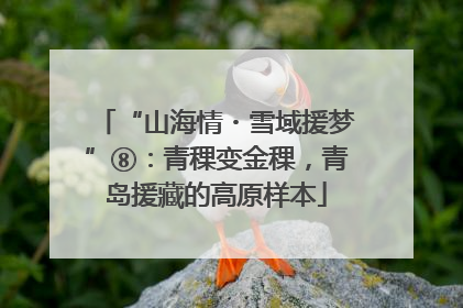 “山海情・雪域援梦”⑧：青稞变金稞，青岛援藏的高原样本
