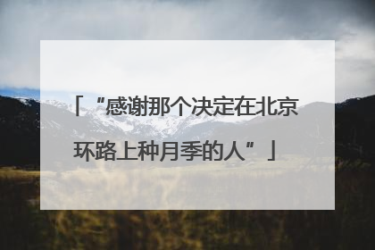“感谢那个决定在北京环路上种月季的人”
