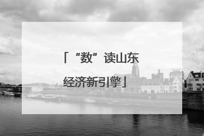 “数”读山东经济新引擎