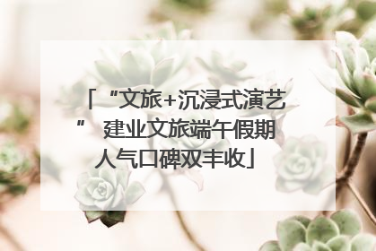 “文旅+沉浸式演艺” 建业文旅端午假期人气口碑双丰收