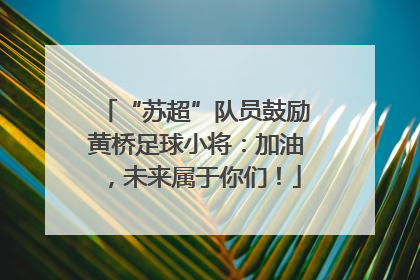 “苏超”队员鼓励黄桥足球小将：加油，未来属于你们！