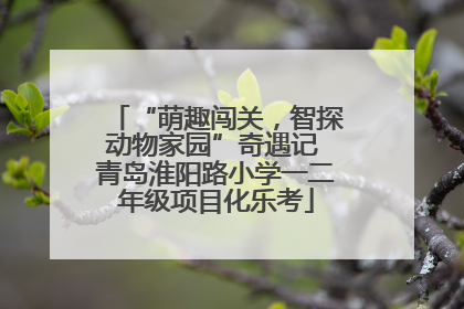 “萌趣闯关，智探动物家园”奇遇记 青岛淮阳路小学一二年级项目化乐考