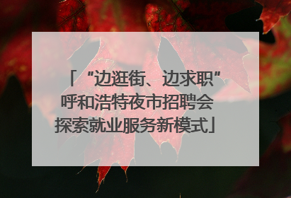 “边逛街、边求职” 呼和浩特夜市招聘会探索就业服务新模式