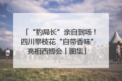 “豹局长”亲自到场！四川攀枝花“自带香味”亮相西博会丨图集