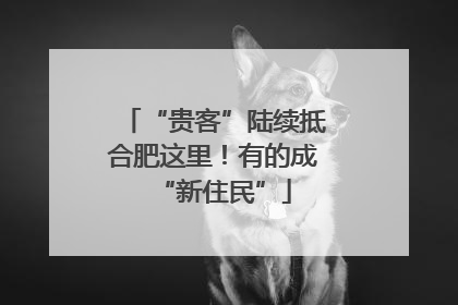 “贵客”陆续抵合肥这里！有的成“新住民”