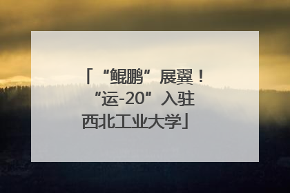 “鲲鹏”展翼！“运-20”入驻西北工业大学