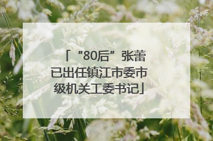“80后”张蕾已出任镇江市委市级机关工委书记