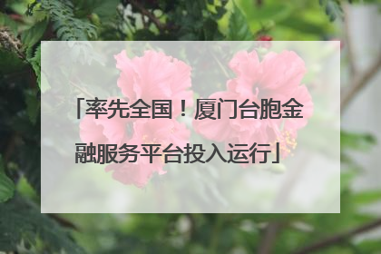 率先全国！厦门台胞金融服务平台投入运行
