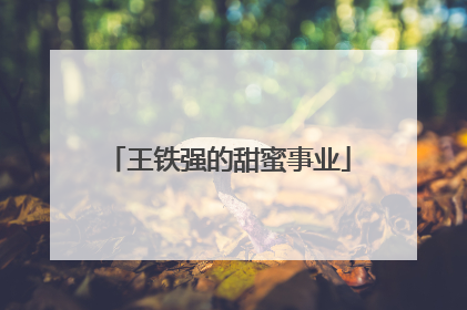 王铁强的甜蜜事业