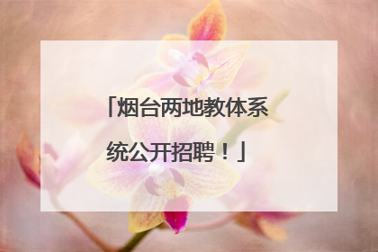 烟台两地教体系统公开招聘！