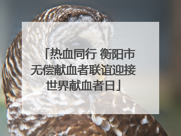 热血同行 衡阳市无偿献血者联谊迎接世界献血者日
