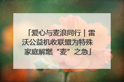 爱心与麦浪同行｜雷沃公益机收联盟为特殊家庭解燃“麦”之急