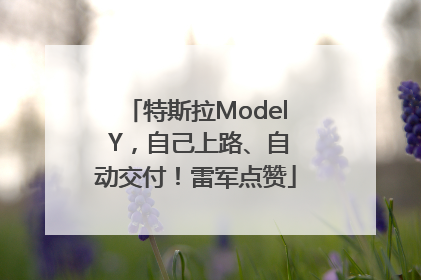 特斯拉Model Y，自己上路、自动交付！雷军点赞