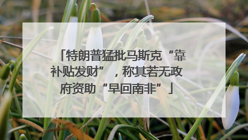 特朗普猛批马斯克“靠补贴发财”，称其若无政府资助“早回南非”