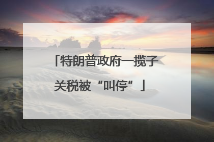 特朗普政府一揽子关税被“叫停”