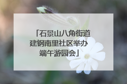 石景山八角街道建钢南里社区举办端午游园会