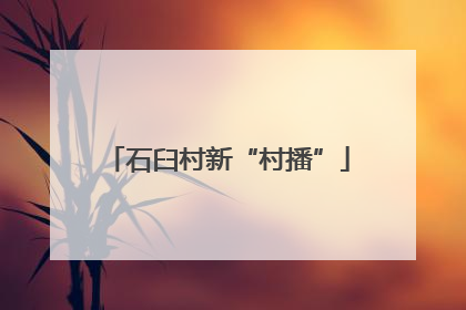 石臼村新“村播”