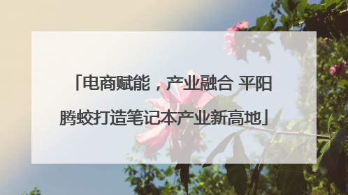 电商赋能，产业融合 平阳腾蛟打造笔记本产业新高地