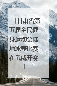 甘肃省第五届全民健身运动会陆地冰壶比赛在武威开赛