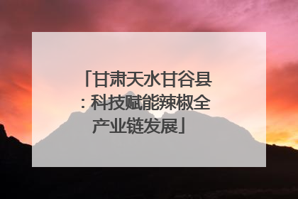 甘肃天水甘谷县：科技赋能辣椒全产业链发展