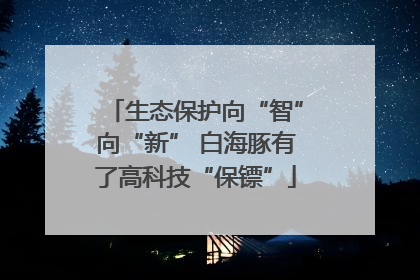 生态保护向“智”向“新” 白海豚有了高科技“保镖”