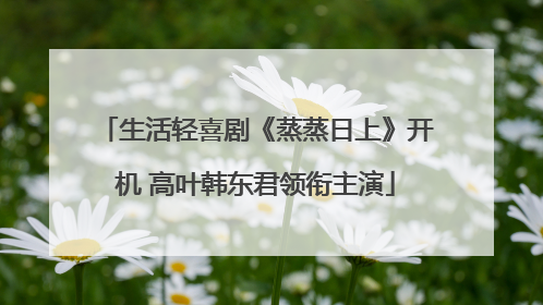 生活轻喜剧《蒸蒸日上》开机 高叶韩东君领衔主演