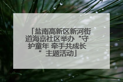 盐南高新区新河街道海嘉社区举办“守护童年 牵手共成长”主题活动