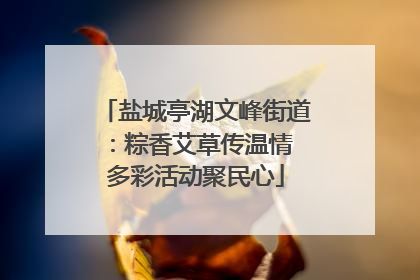 盐城亭湖文峰街道：粽香艾草传温情 多彩活动聚民心